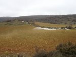 DSC04819_redimensionar.JPG