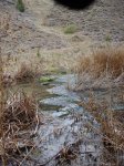 DSC04908_redimensionar_redimensionar.JPG