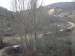 DSC04969_redimensionar_redimensionar.JPG