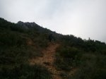 Foto0055.jpg