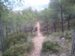 Foto0060.jpg