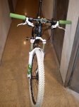 DSC00117.jpg