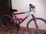 IMAG0074.jpg