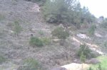IMAG0174.jpg