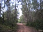 PC170012.JPG