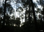 PC170014.JPG