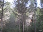 PC170015.JPG