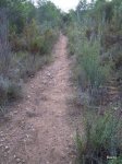 DSCN1040.JPG
