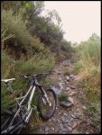 DSCN2774.JPG