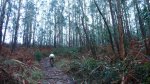 P1150315_redimensionar.JPG