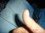 013.JPG