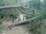 DSC02050.JPG