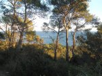 DSC02059.JPG