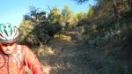 DSCN1346.jpg
