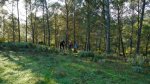 DSCN1355.jpg
