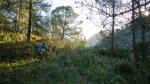 DSCN1358.jpg