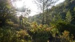 DSCN1369.jpg