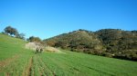 DSCN1396.jpg