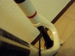 DSC01516.JPG