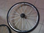 IMG_20111218_181312.jpg