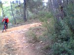 17122011021.jpg