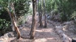 IMG_0260.jpg