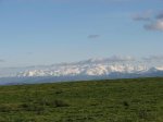IMG_1993.JPG.jpg