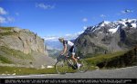 tdf-andy.jpg