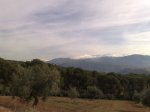 19122011742 small.jpg