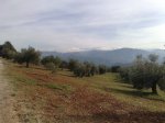 19122011743 small.jpg