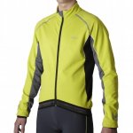 zoom_asset_50203121.jpg