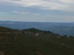 m_P1000564.jpg