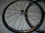 DSCN4007.JPG