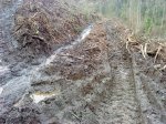 DSC05575.JPG