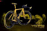 vivelo-erg-rs-one-of-a-kind-9-200px.jpg
