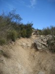 IMG_0360.jpg