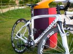 Chinarello 004.jpg