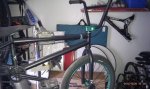 IMAG0328.jpg