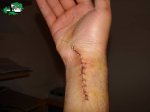 1265649860_mano_001.jpg