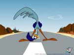 correcaminos13.jpg