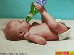 funny_beer_photo_35.jpg
