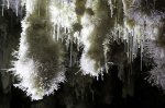 cueva-el-soplao-excentricas.jpg