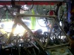 IMG00014-20111216-1410.jpg