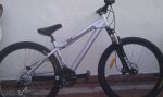 IMAG0333.jpg