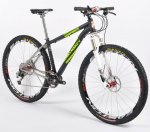 lynskey-neon.jpg