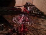 IMG_20111221_122626.jpg