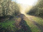 2011-12-22 16.12.49 (Copiar).jpg