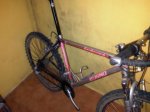 IMG-20111222-00017-480x360.jpg