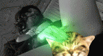 tumblr_lcpfjc84O41qbsv32o1_500.gif