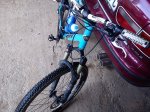 IMG_20111101_141701 peke.jpg